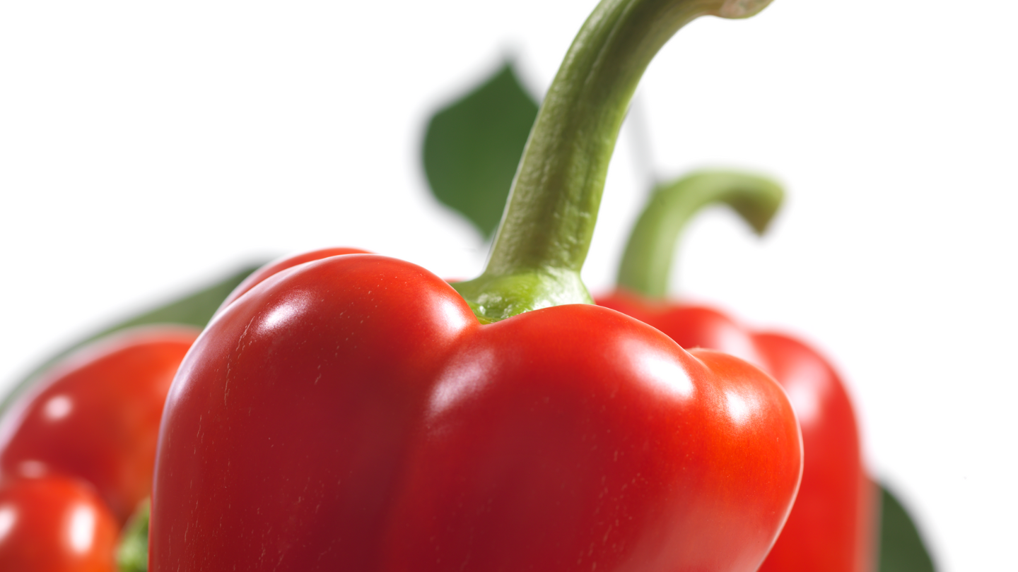 CS - Pepper - Photoshoot Thumbnail.png