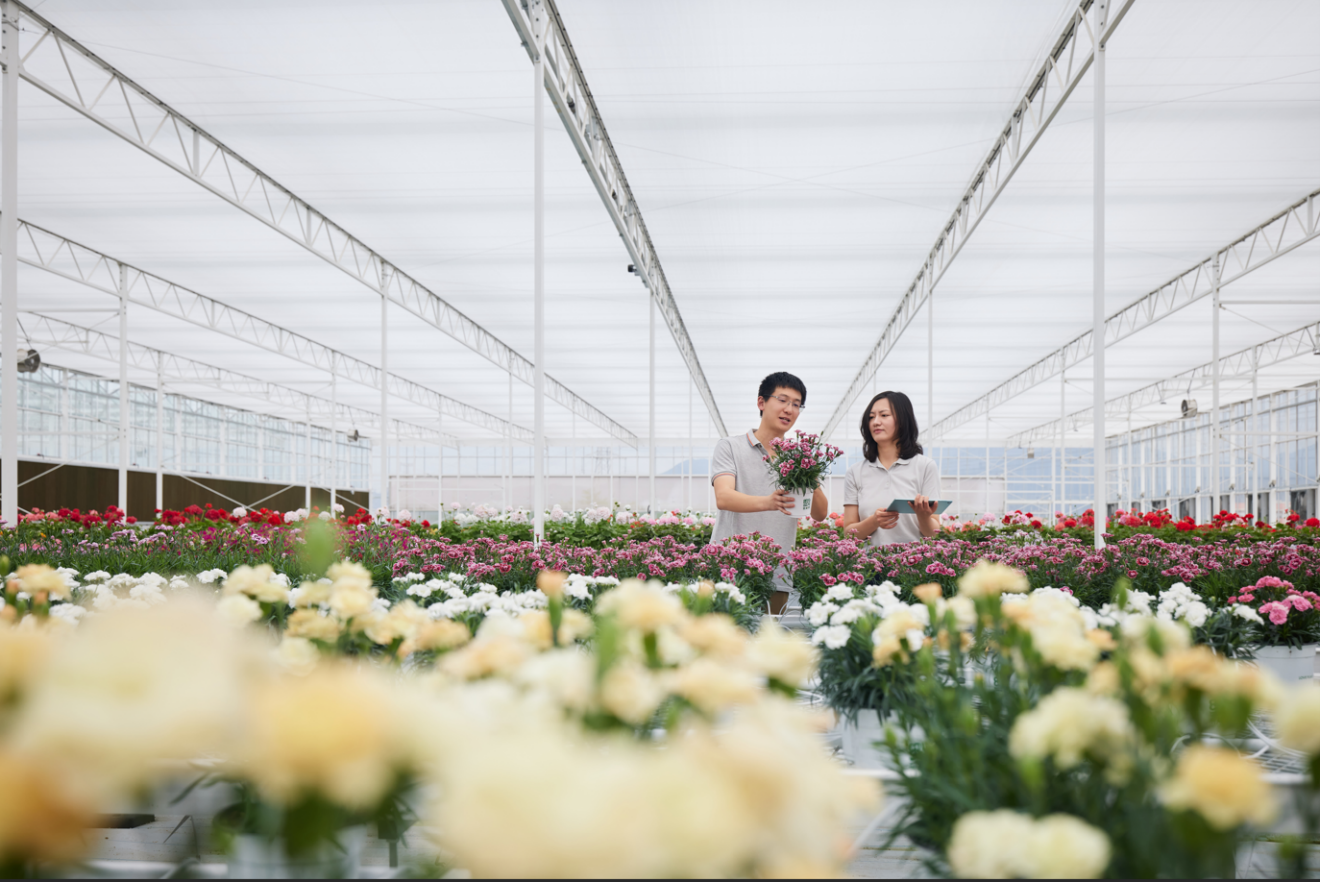 CS - Tangchao - Ying Ying and grower - Flowers - PARperfect - China