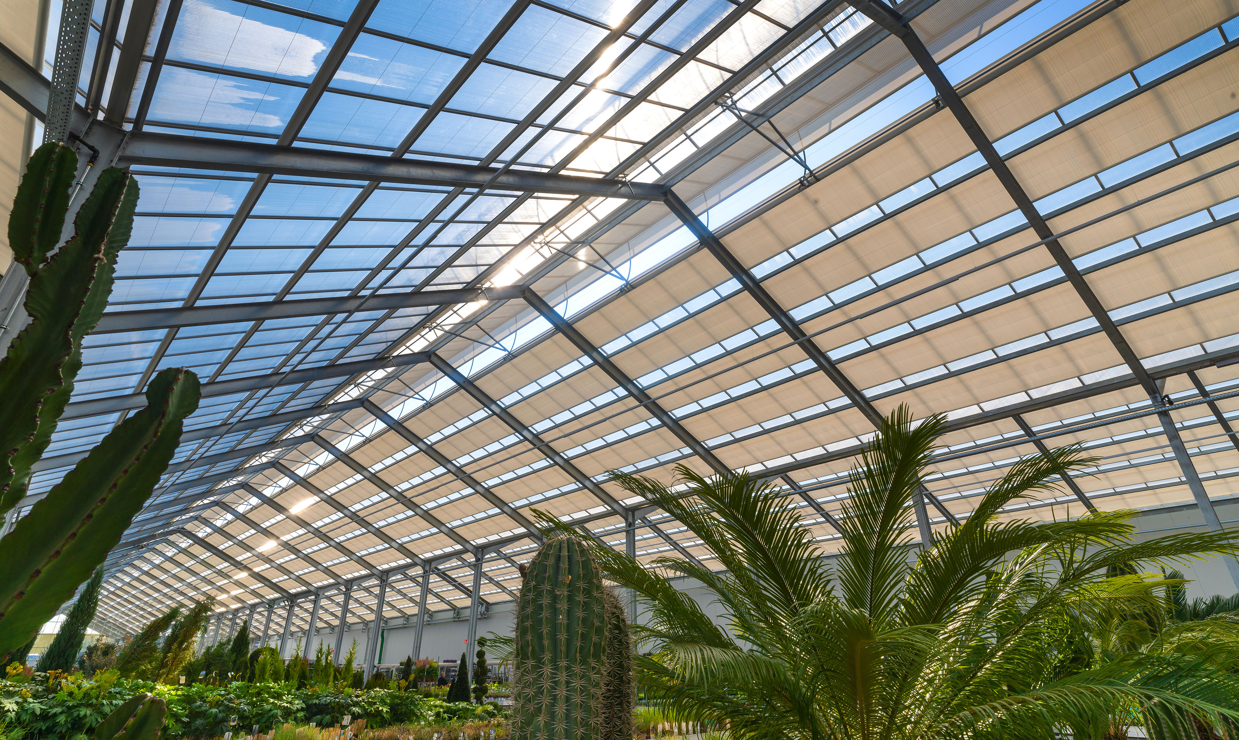 cs - van uytsel garden center cactus.jpg