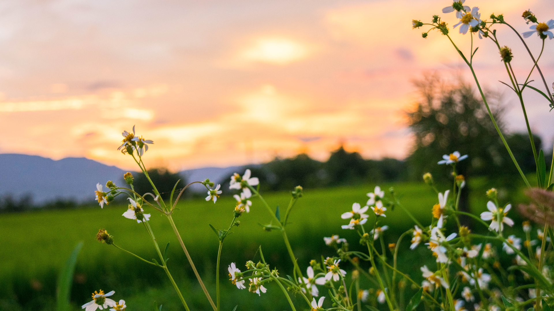 CS - Sustainability Report - USCAN - 2023.png