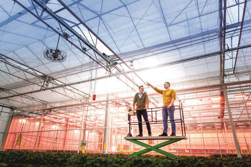 CS2026 bij foto zachtfruit NL.jpg