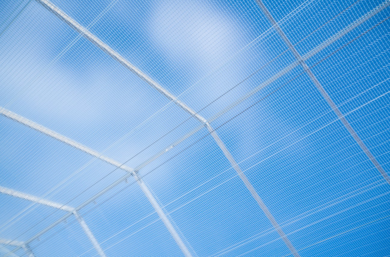 CS 2026 Schenkeveld Luxous NL.jpg