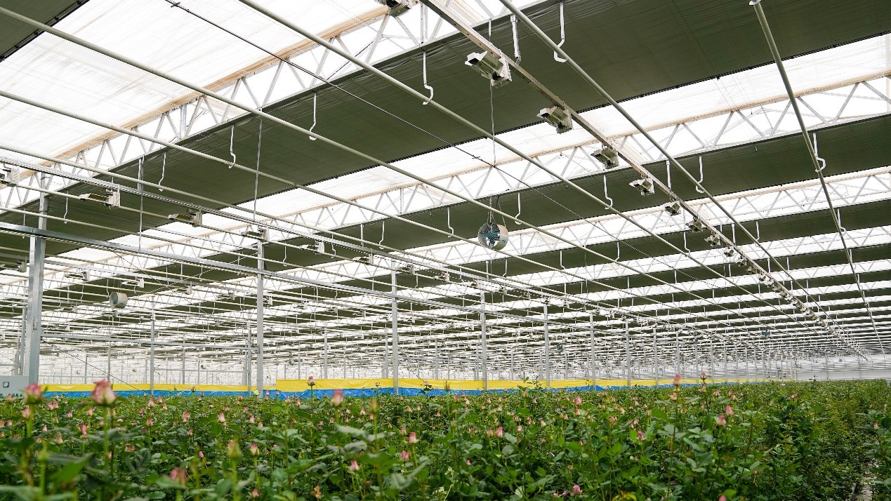 cs - lanzhou-nongtou_2.jpg