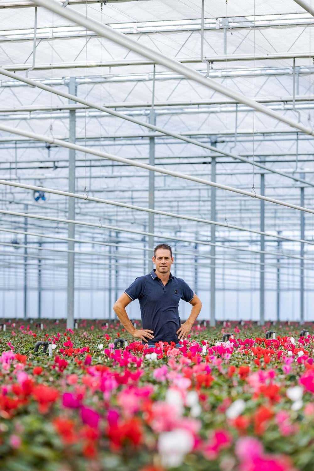 CS2026 grootscholten NL.jpg