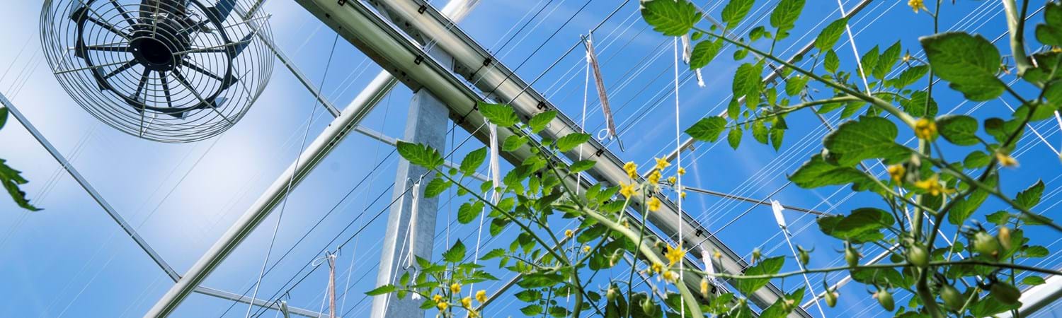 cs - climaflow ceiling clear sky.jpg