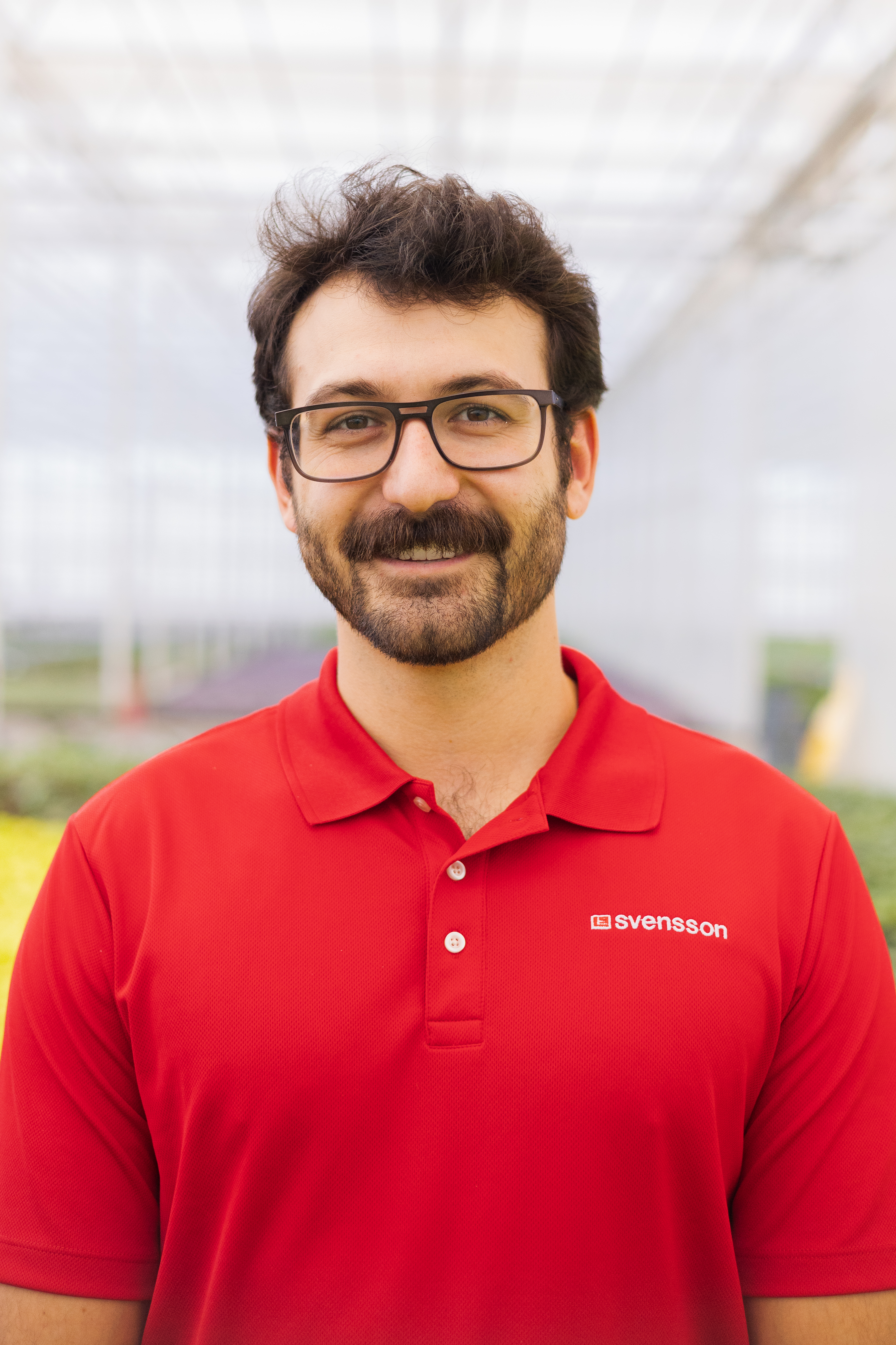 Paul Arena portrait.jpg