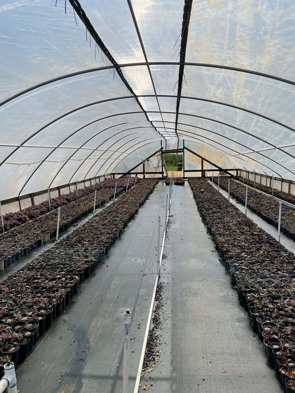 cs - solar woven - windmill.jpeg