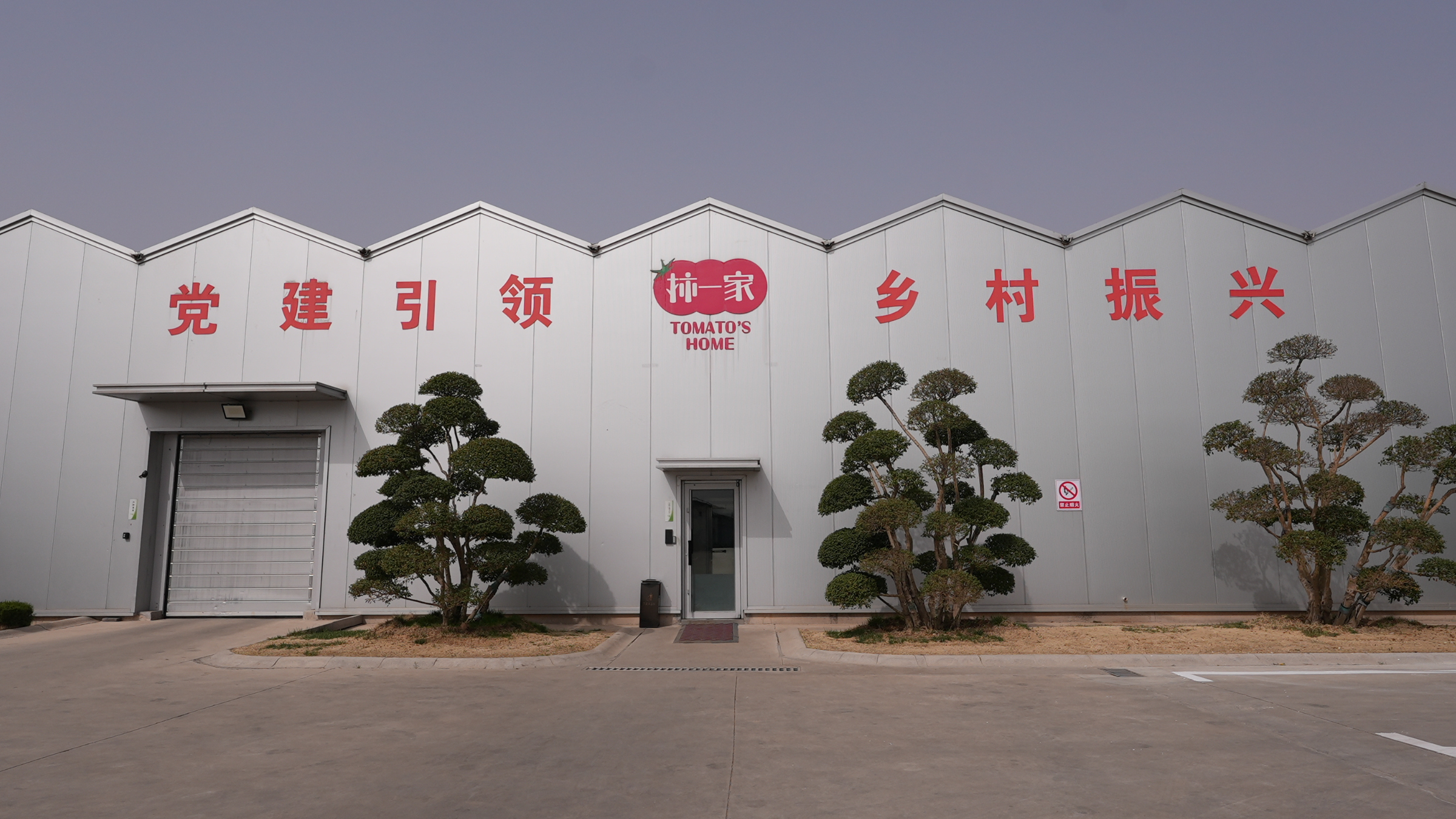 CS - China - Tomatoes - Energy Monitor - Haoyu - Building.png