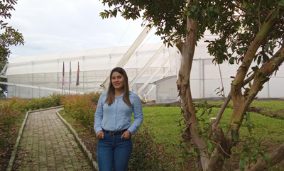 CS - Dummen Orange Colombia 1.png