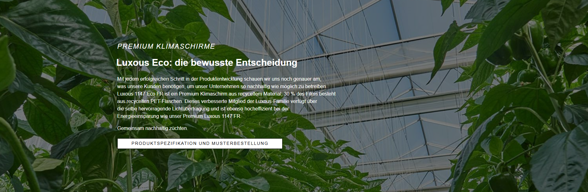 CS2026 Luxous DE.png