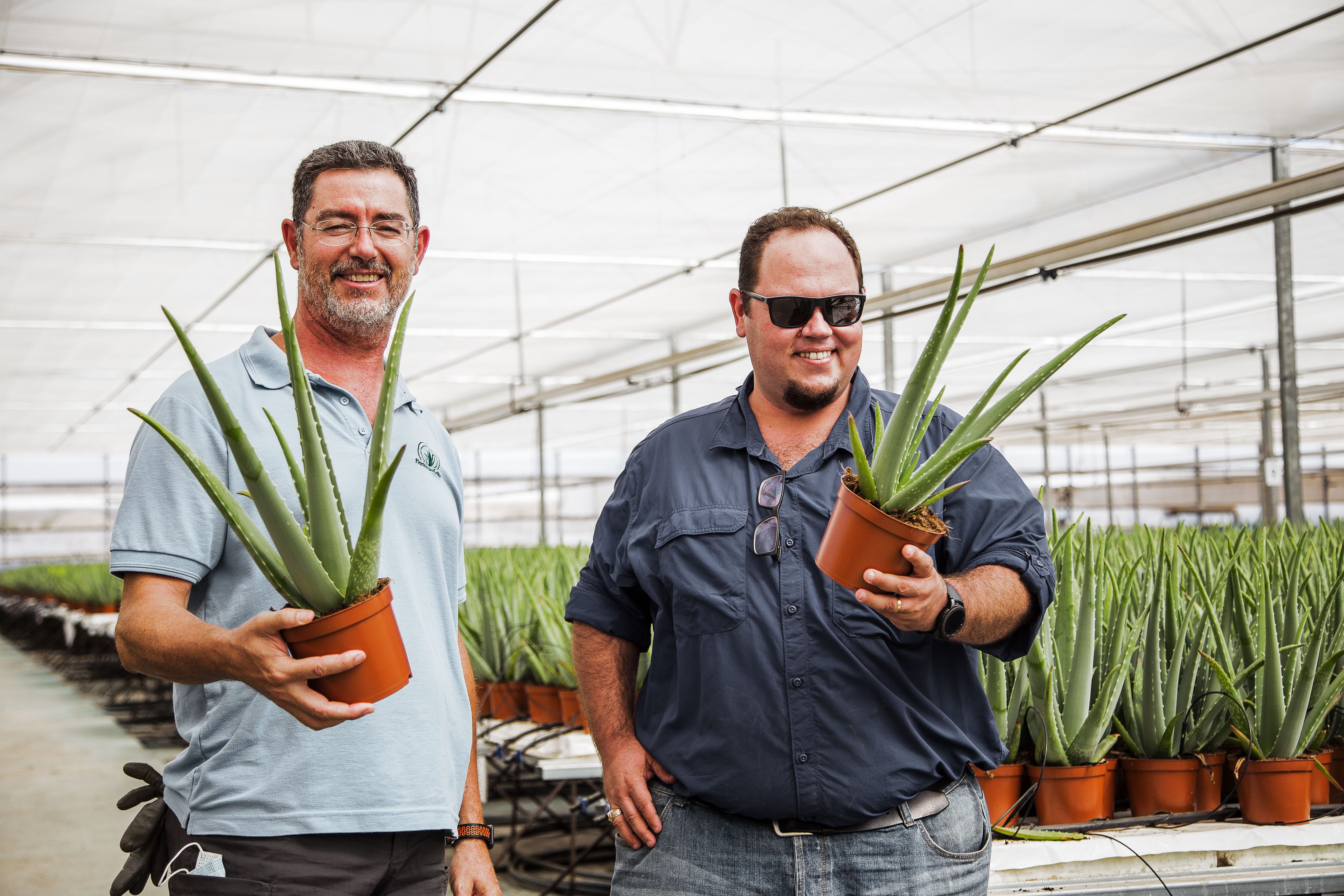 CS2026 sierplanten aloe vera NL.jpg