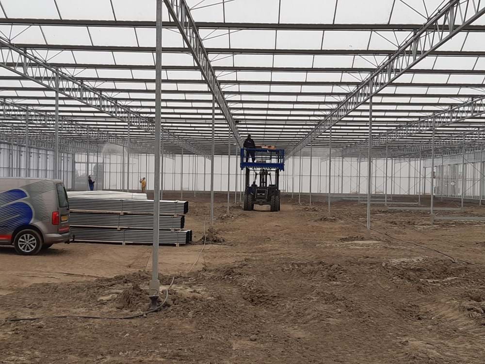 CS2026 doeken NL.jpg