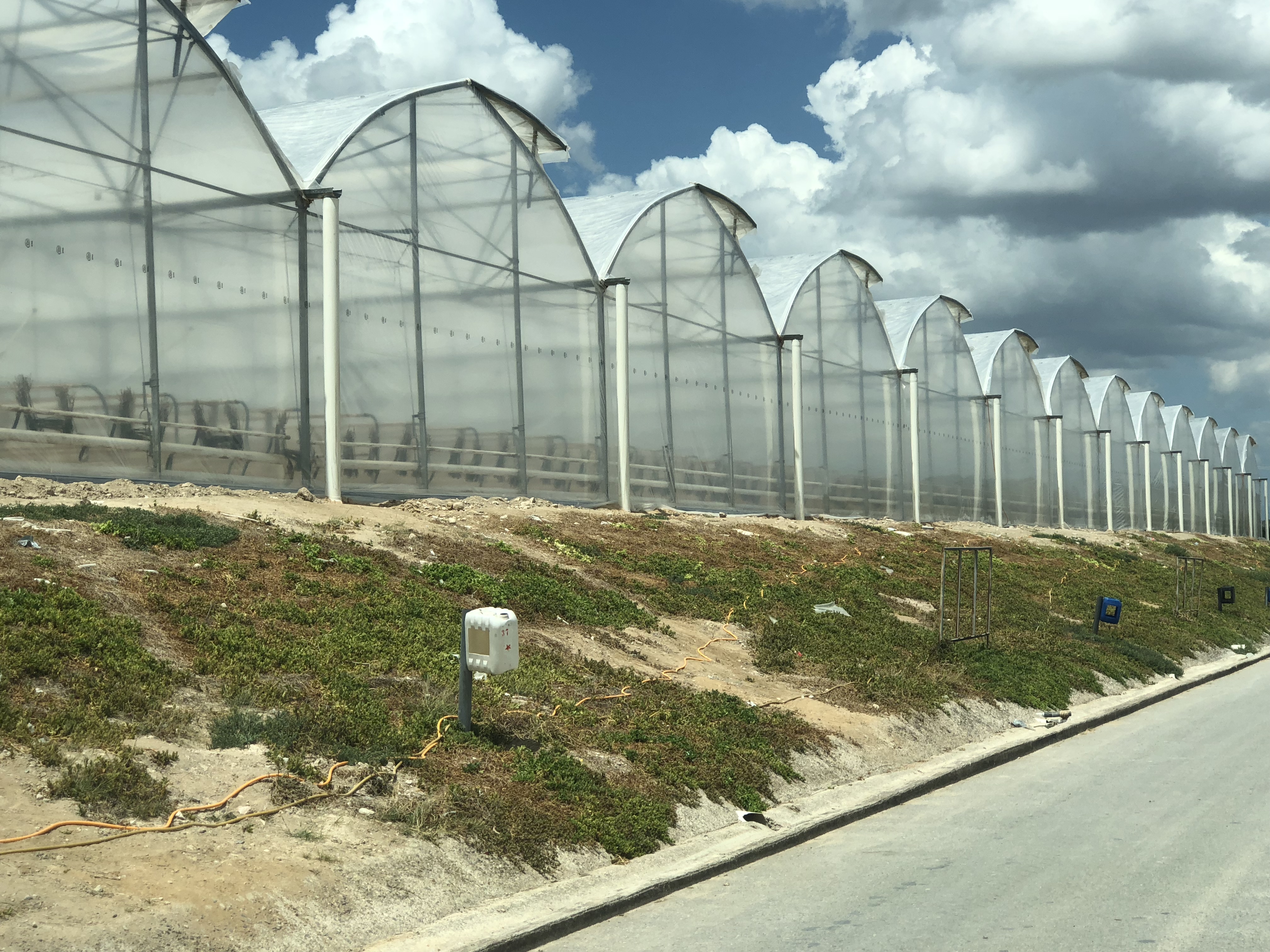 cs - eco agri mexico greenhouse gable img_2224.jpg