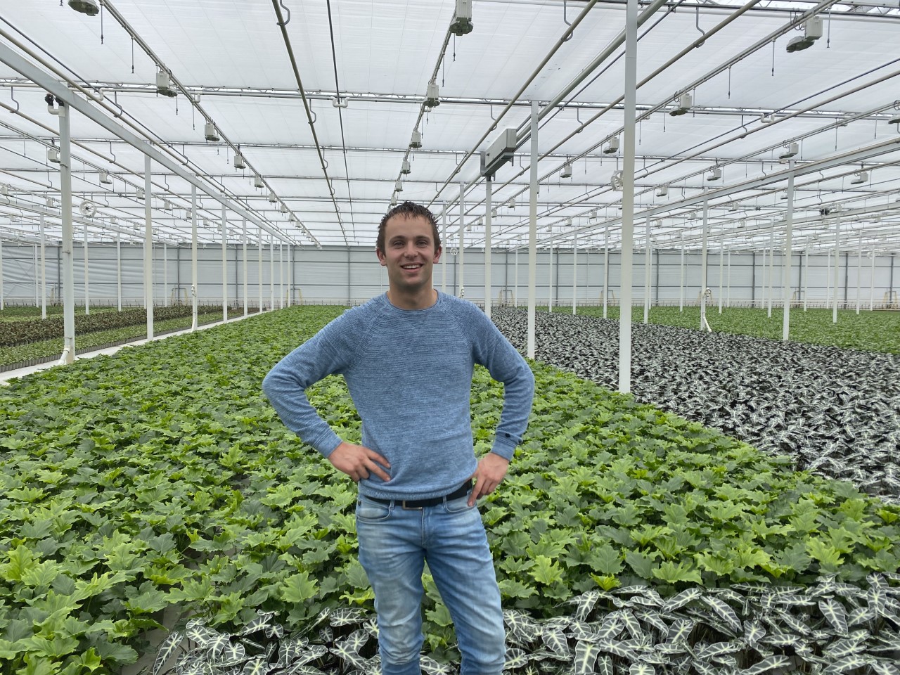 cs - kwintplant_img_8192.jpg