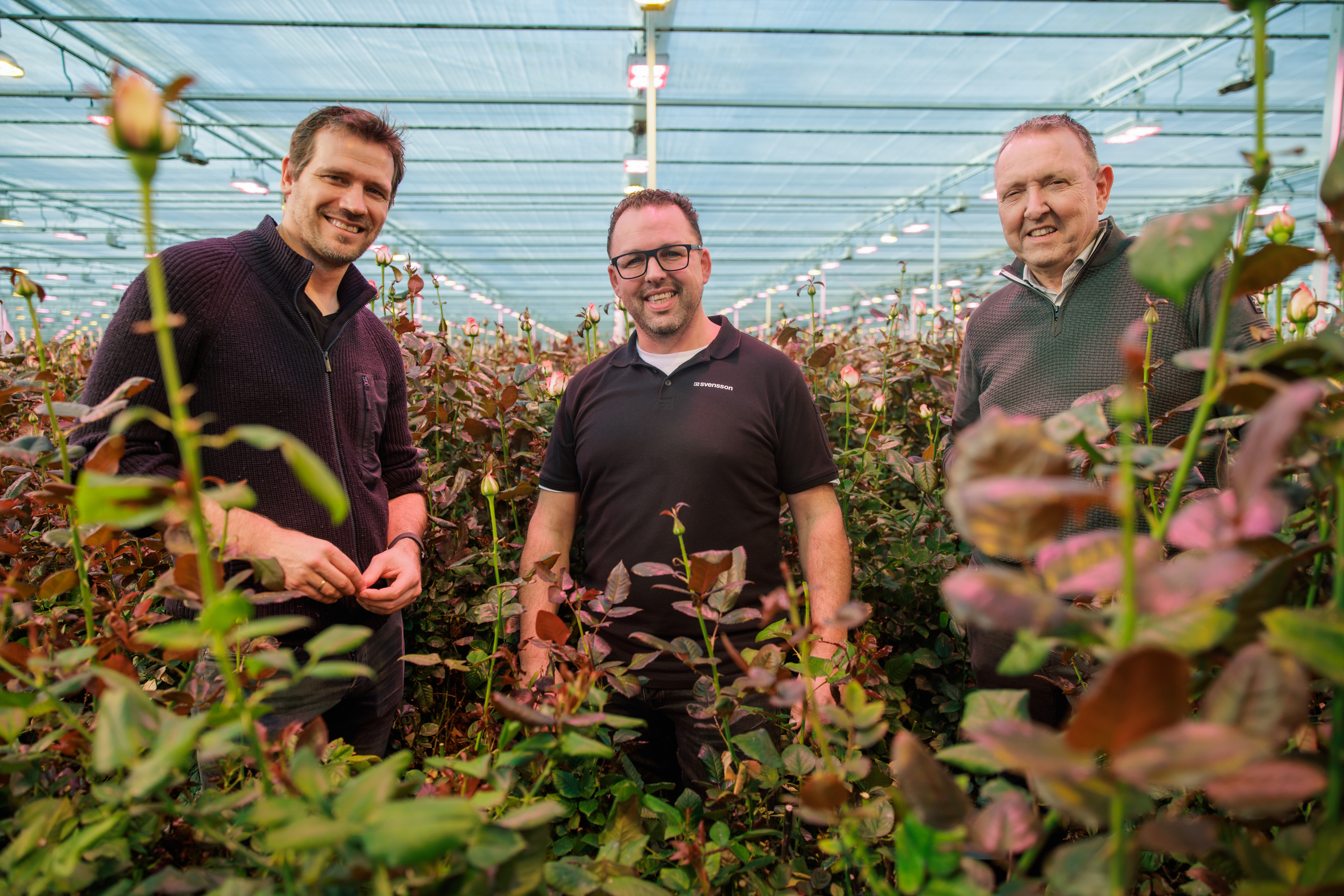 CS - Marjoland - Netherlands - Roses - ClimaFlow - Growers with Dominique Blok