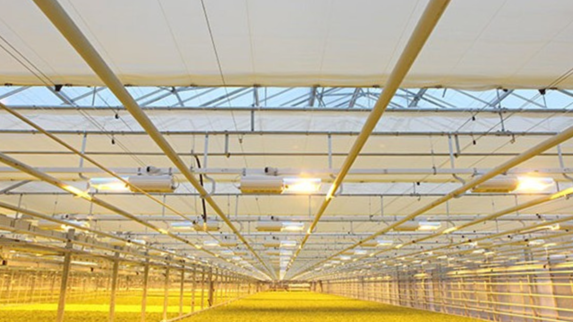 CS - Highlights - FamiFarm - Double Screening - Finland.png