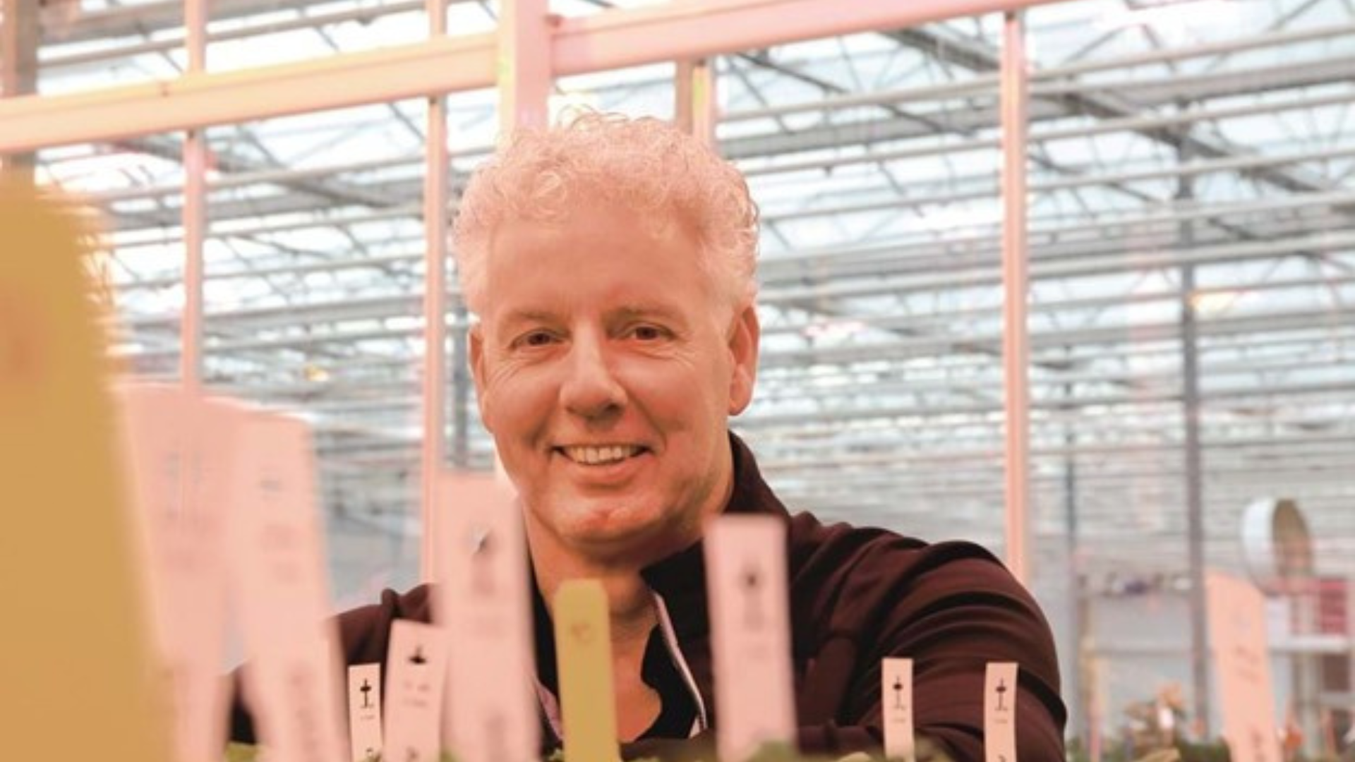 CS - PanAmerican Seed - Seedling - Breeder - Netherlands - PARperfect -Grower.png