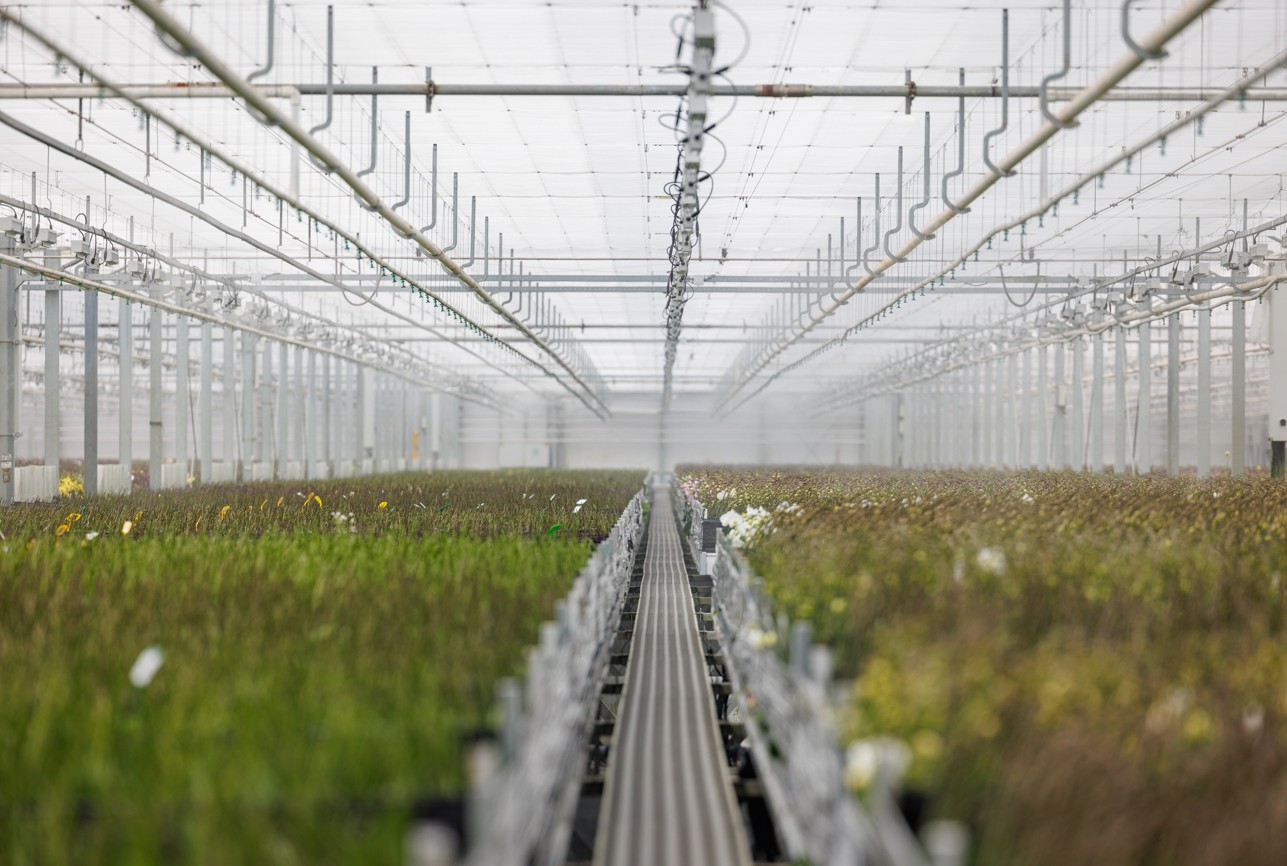 CS - NL - World of Orchids - PARperfect - Orchids.jpg