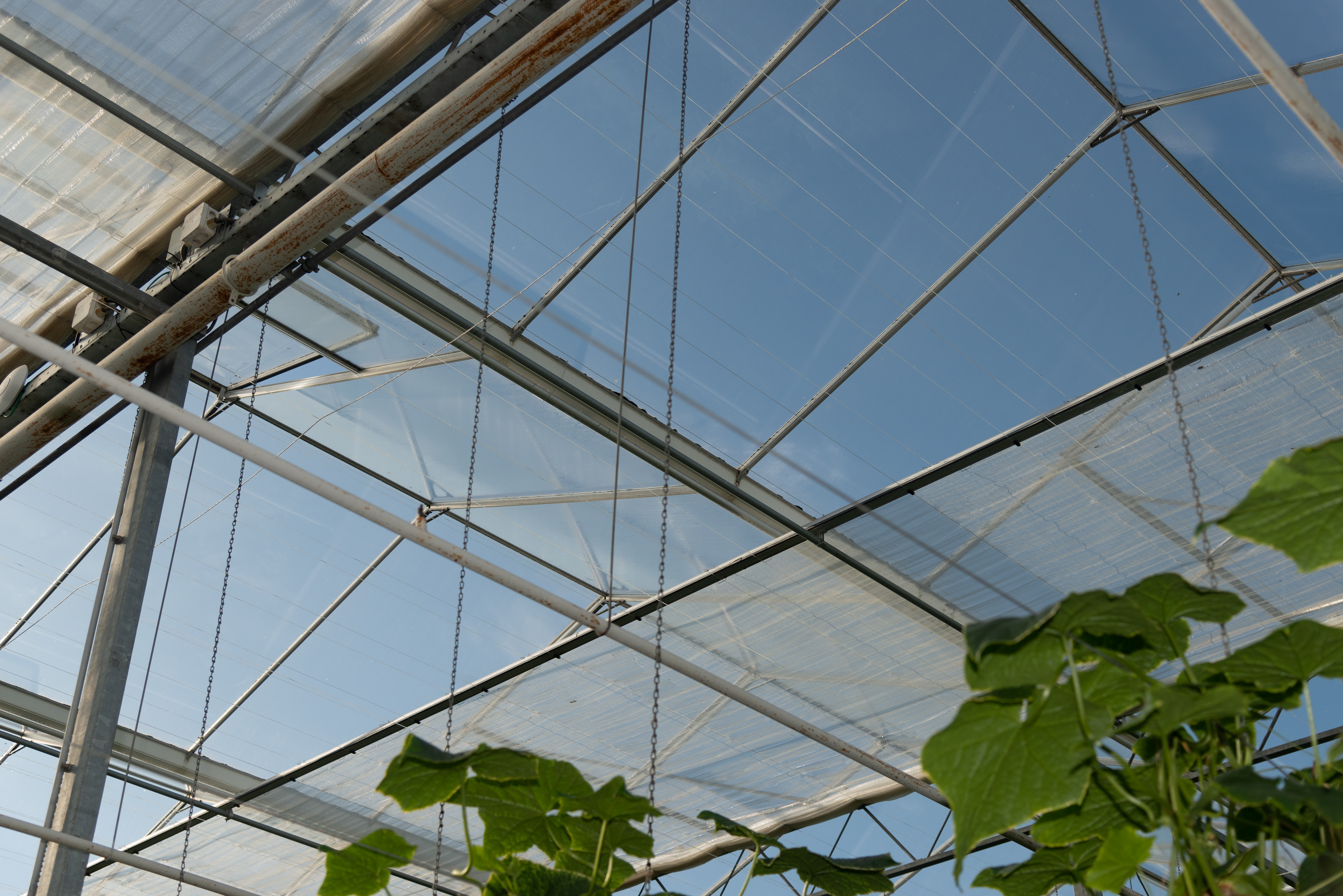 cs - kas-panningen-011.jpg