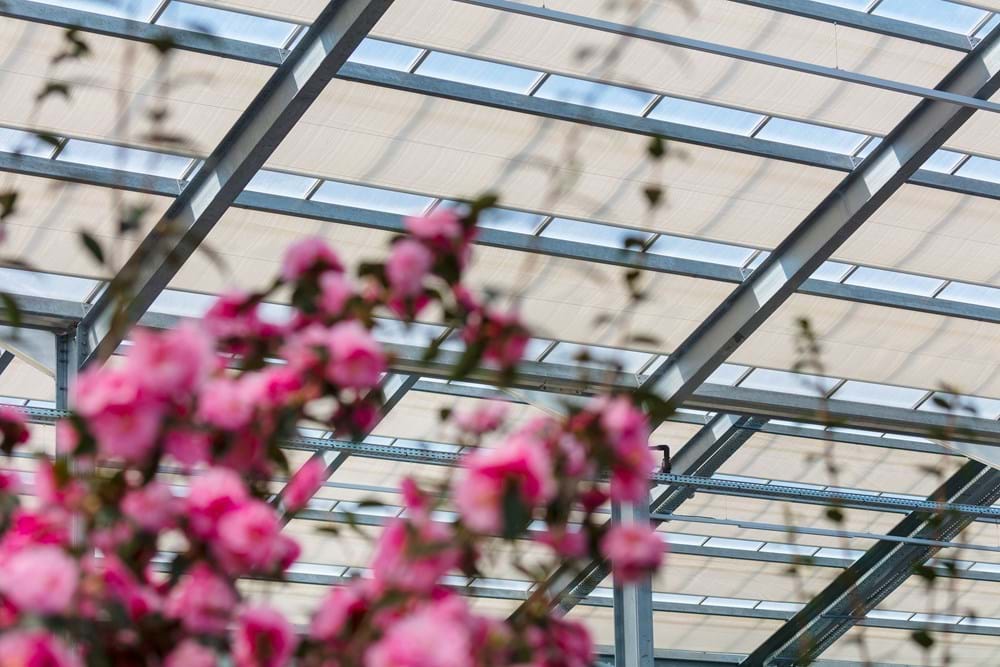 CS - van uytsel garden center.jpg