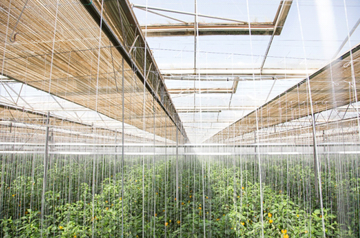 cs - pantalla-cristal-agrosol-export - after 21 years same screen.jpg