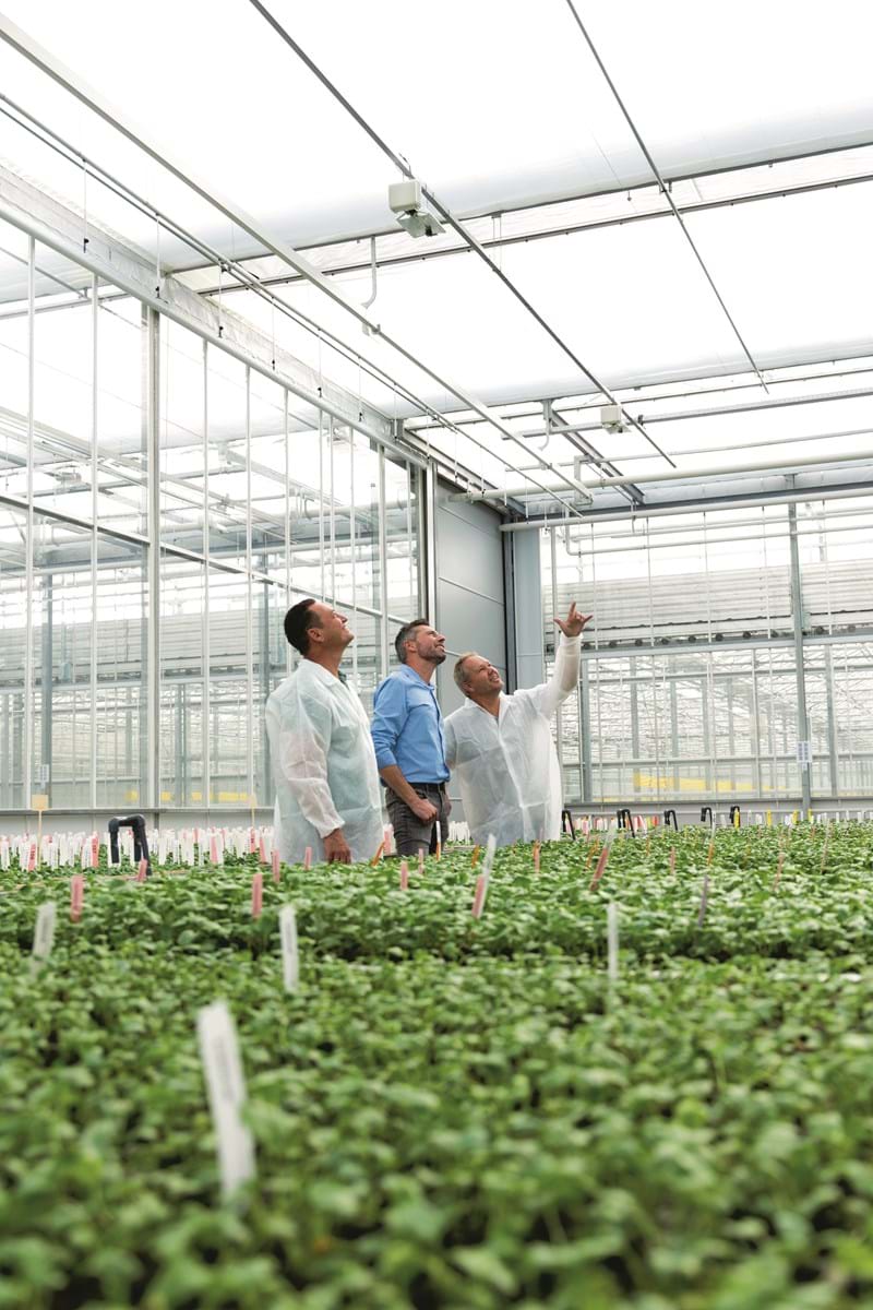 cs - Hilverda growers tall.jpg