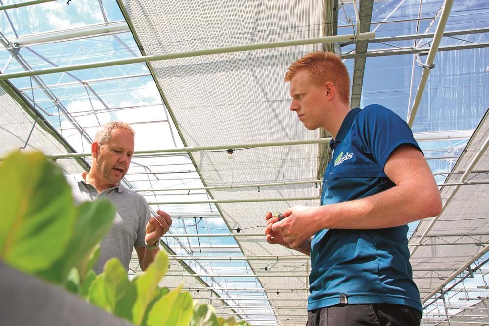 cs - gitzels-grower.jpg