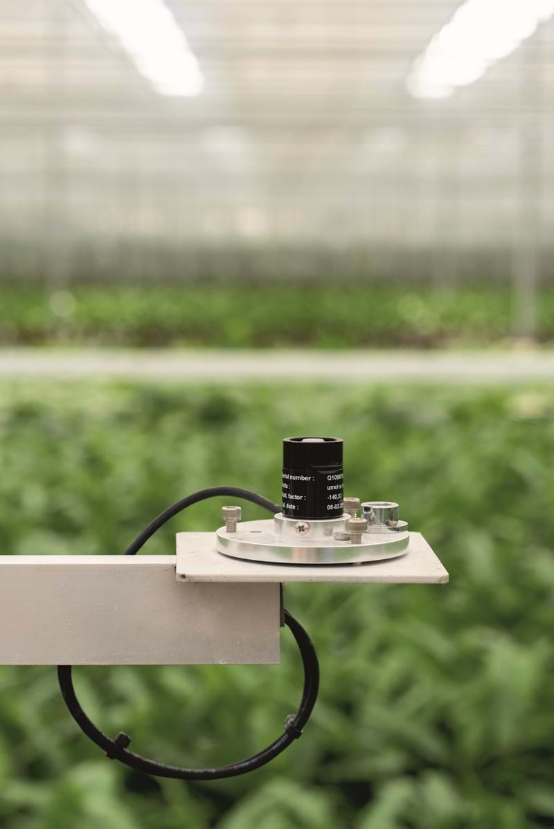 CS2026 PARlicht NL 1.jpg