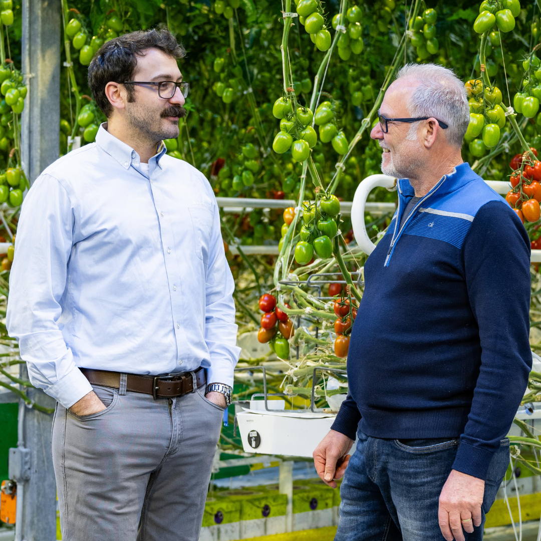 CS - Know-How - Energy Monitor Page - Paul Arena - Hans van Gellecum - Nature Fresh - Tomatoes - 2026 Photos.png