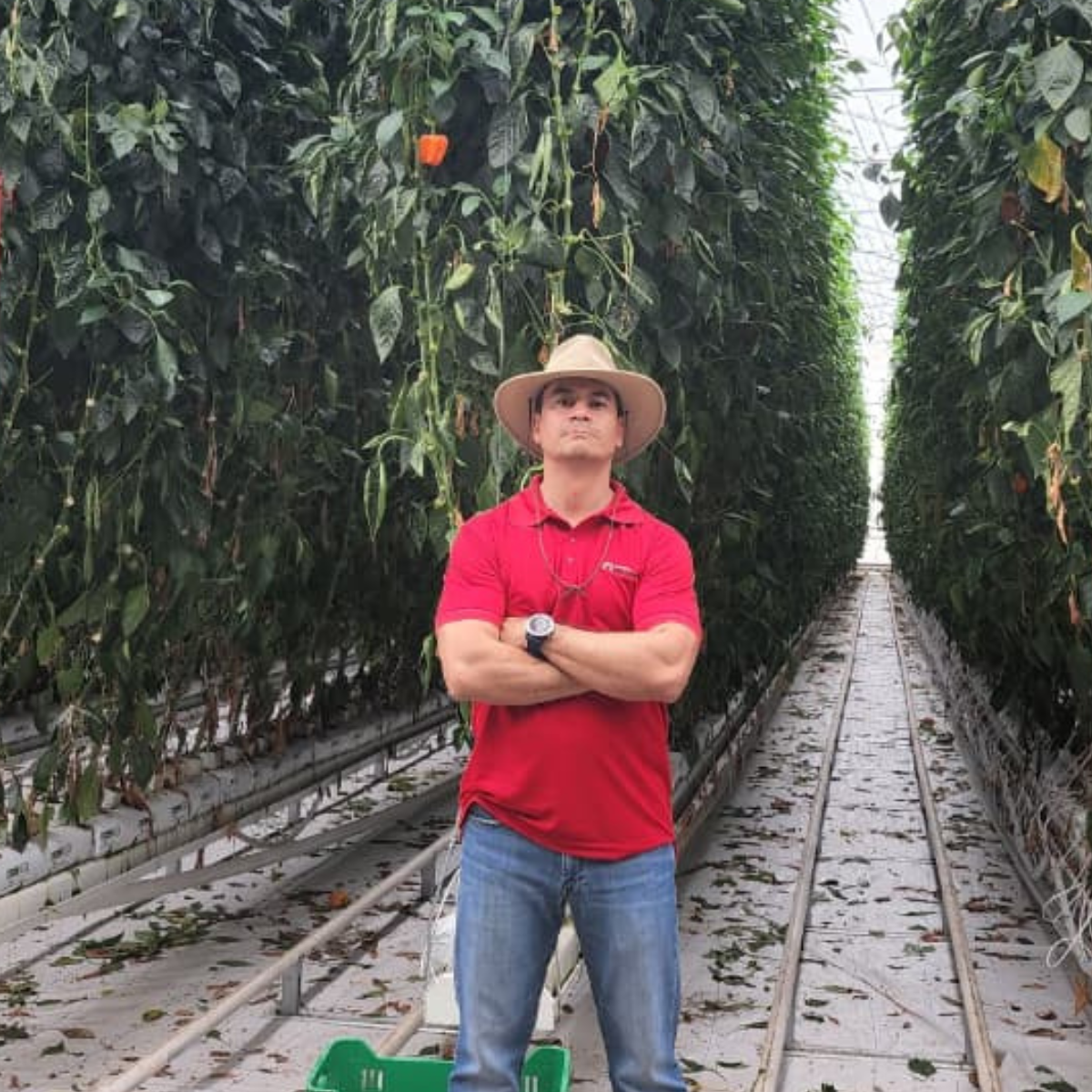 CS_Cimarron_Mexico_Carlos Borja_Pepper.png