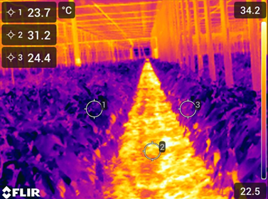 CS - Hightlights - Thermo Camara 1.png