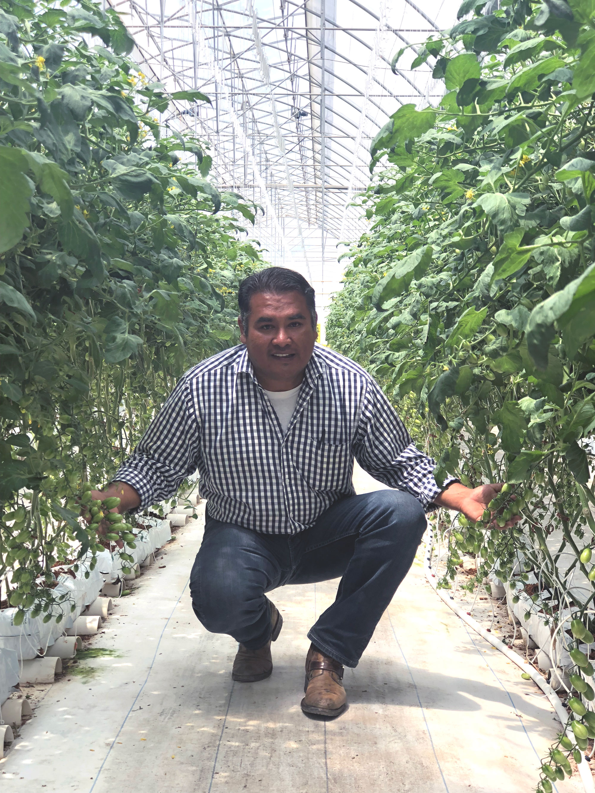 cs - eco agriportrait.jpg