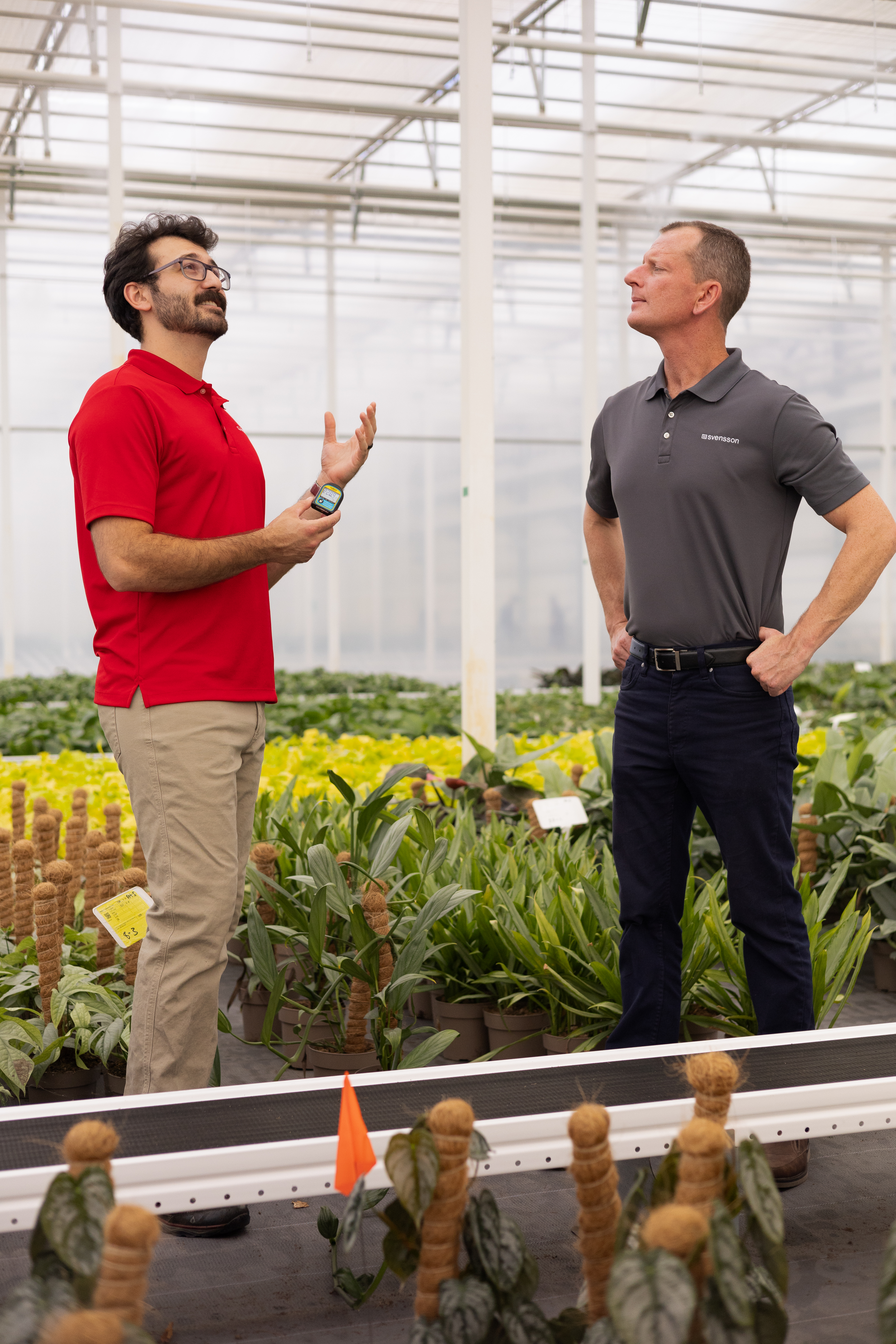 looking uptheplantcompany_6_13_23_0681-2.jpg