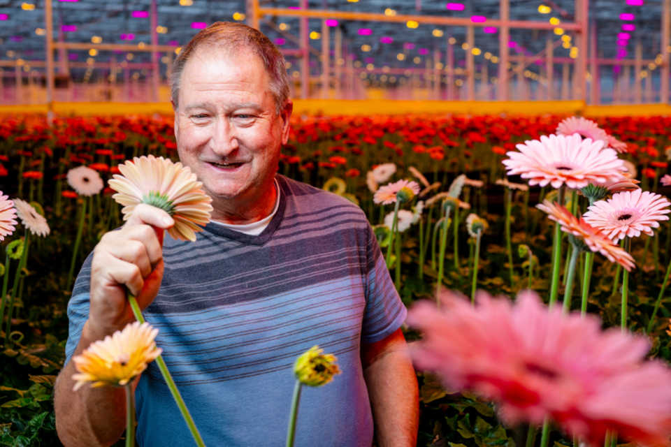 CS - Terry Pastorek - Article Card - Gerberas - Canada.png