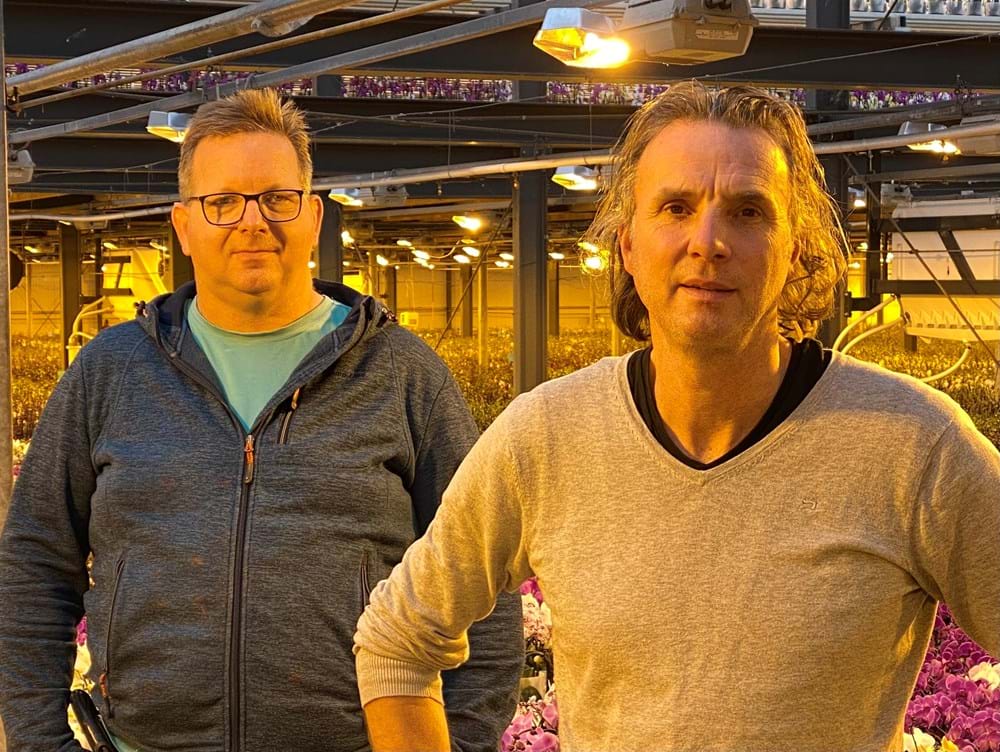 CS2026 orihdee NL.jpg