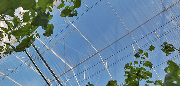 CS2026 Foliekassen NL.jpg