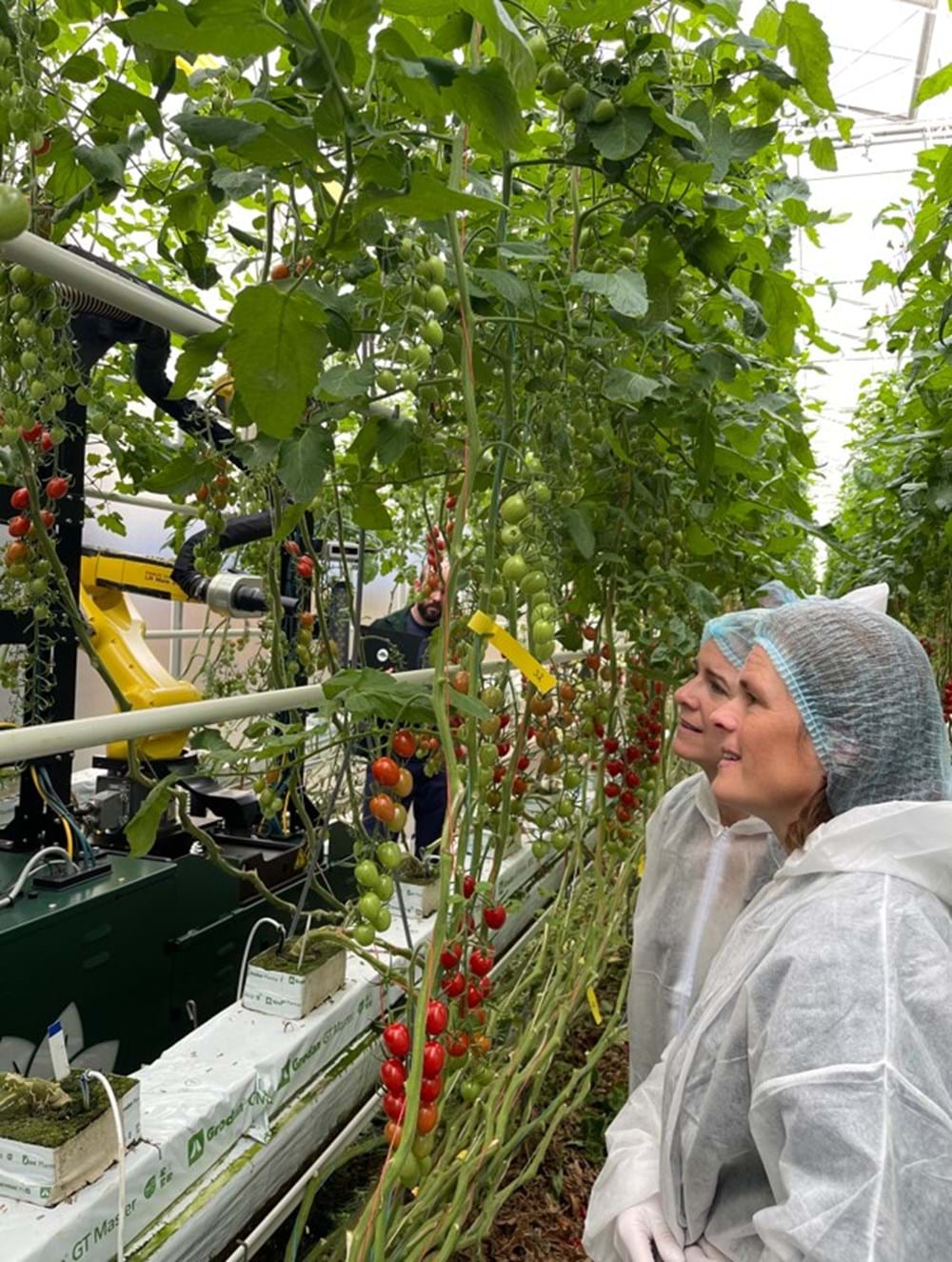 CS2026 Cindy van Rijswick NL.jpg