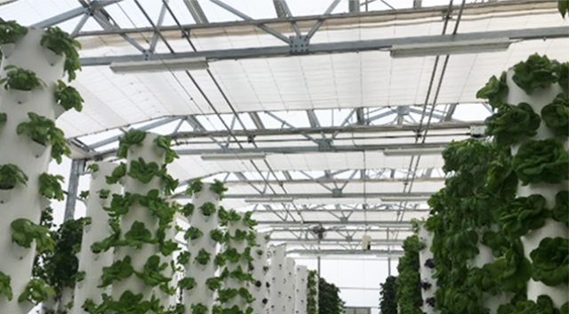 cs - true-garden-energy-screen.jpg