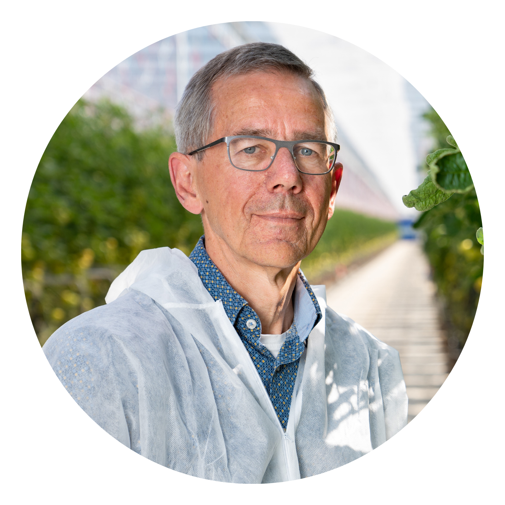 CS - Hugo Plaisier - Svensson - Climate Consultant - Netherlands