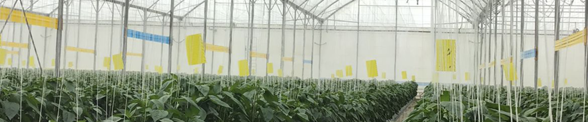 cs-inveragro-banner.png (1)