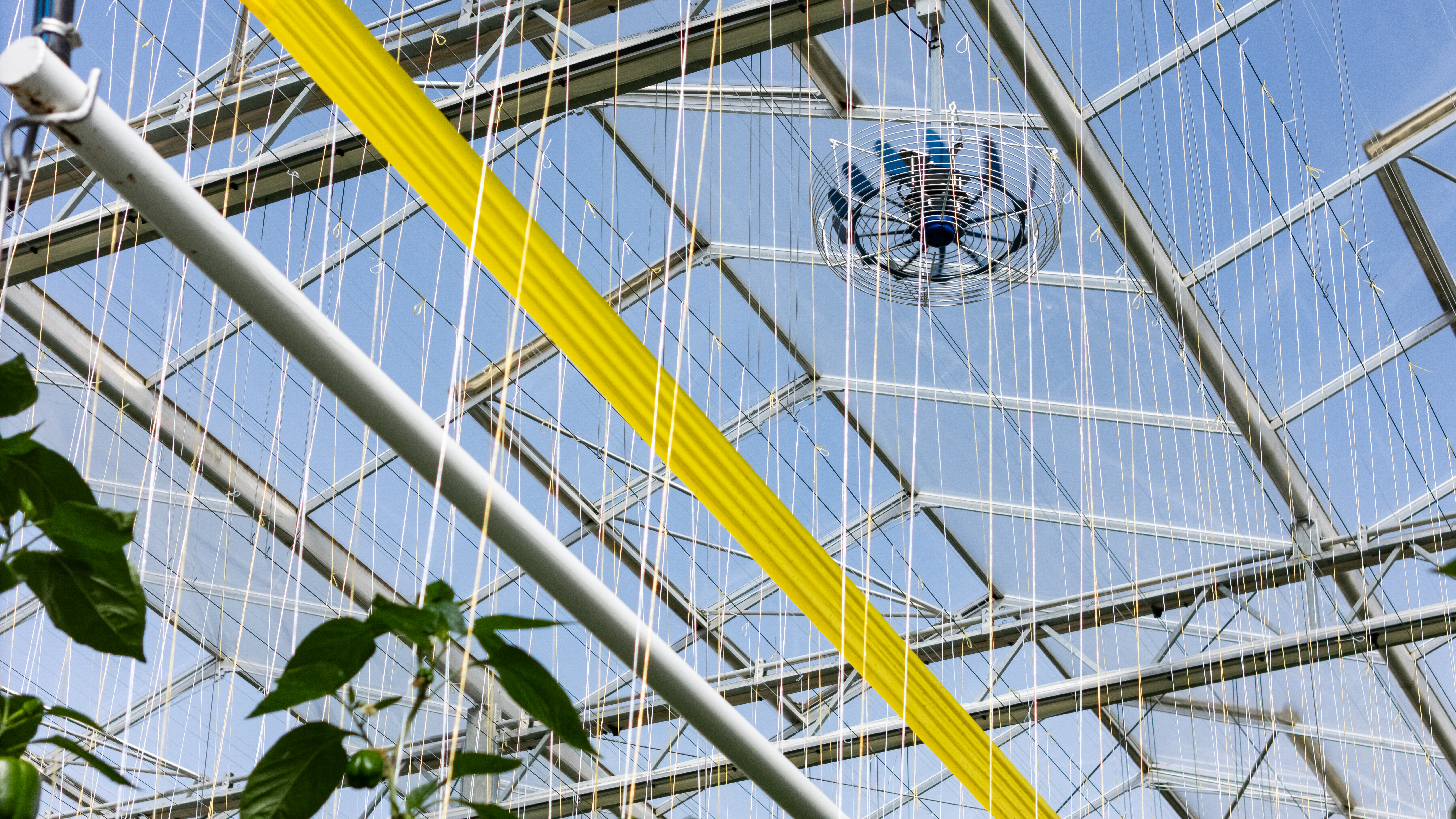 CS - ClimaFlow Fan - Twin Creeks - Peppers - Canada