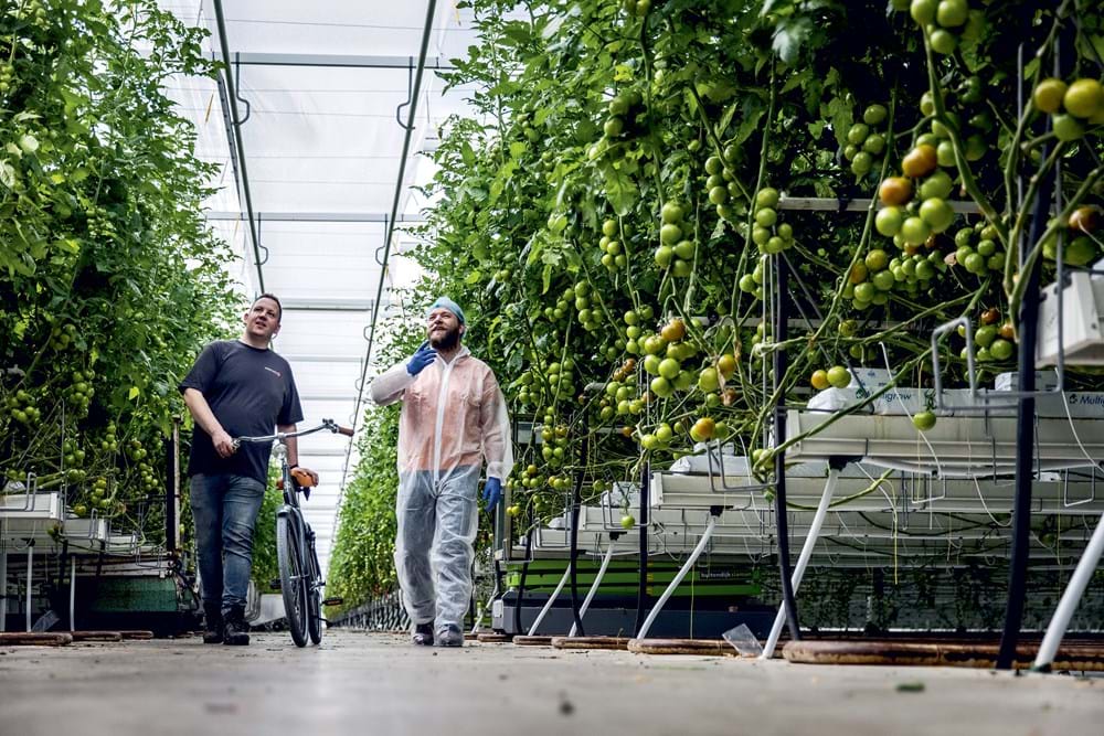 CS2026 Vervaningsoperatie 1 NL.jpg