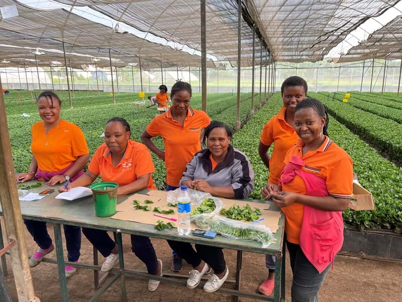 Cs andre lankhaar 1 NL.jpg