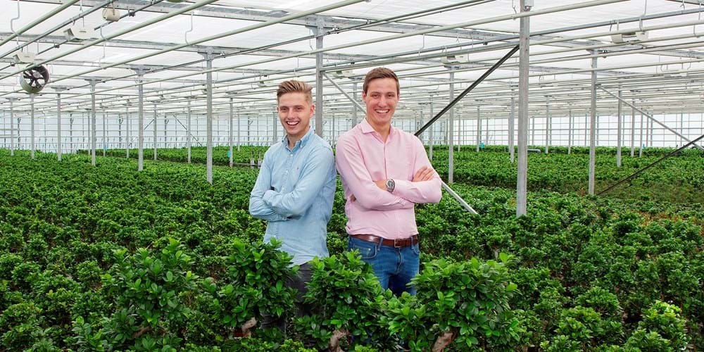 CS2026 Mondo verde NL.jpg