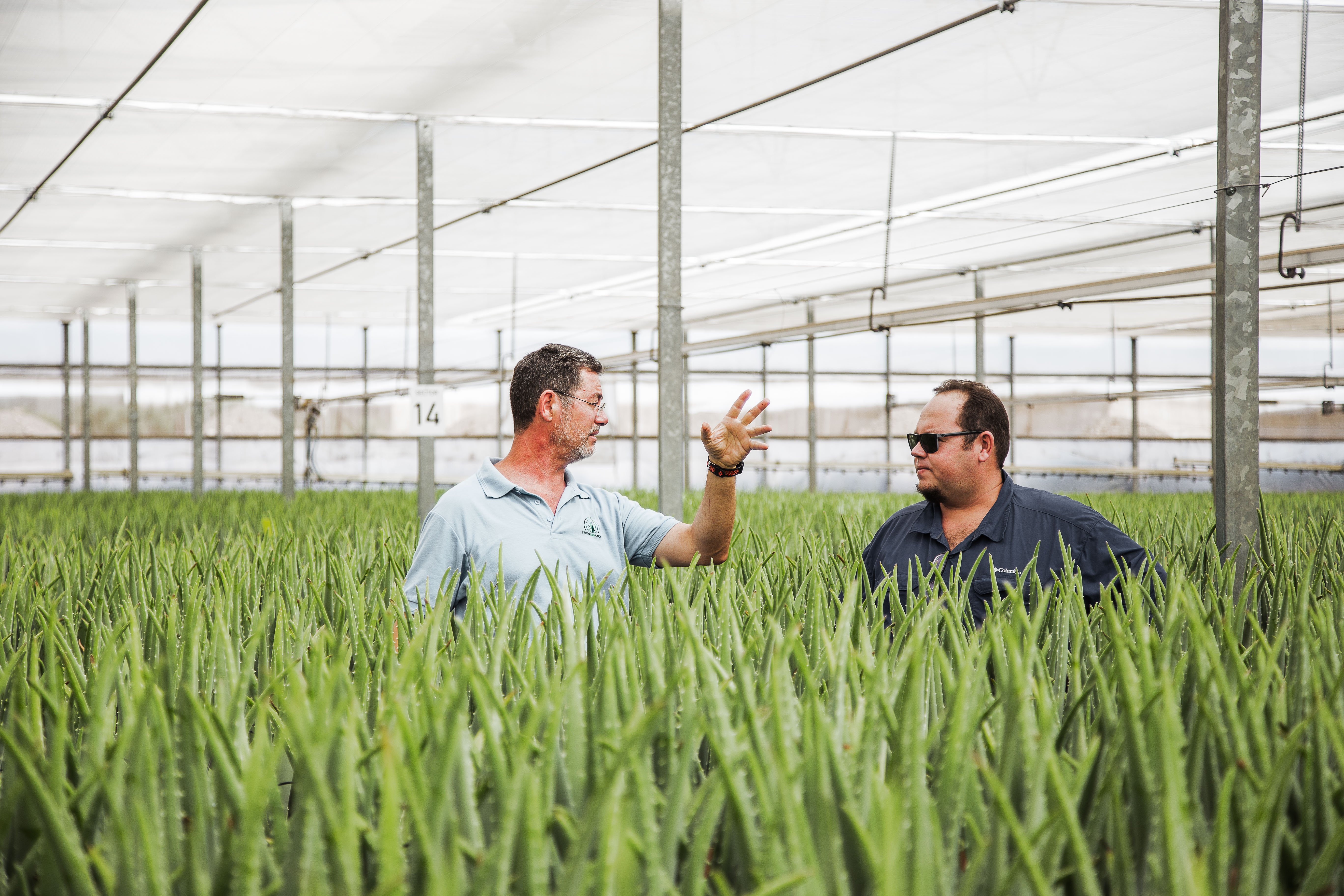 CS2026 schermen NL.jpg