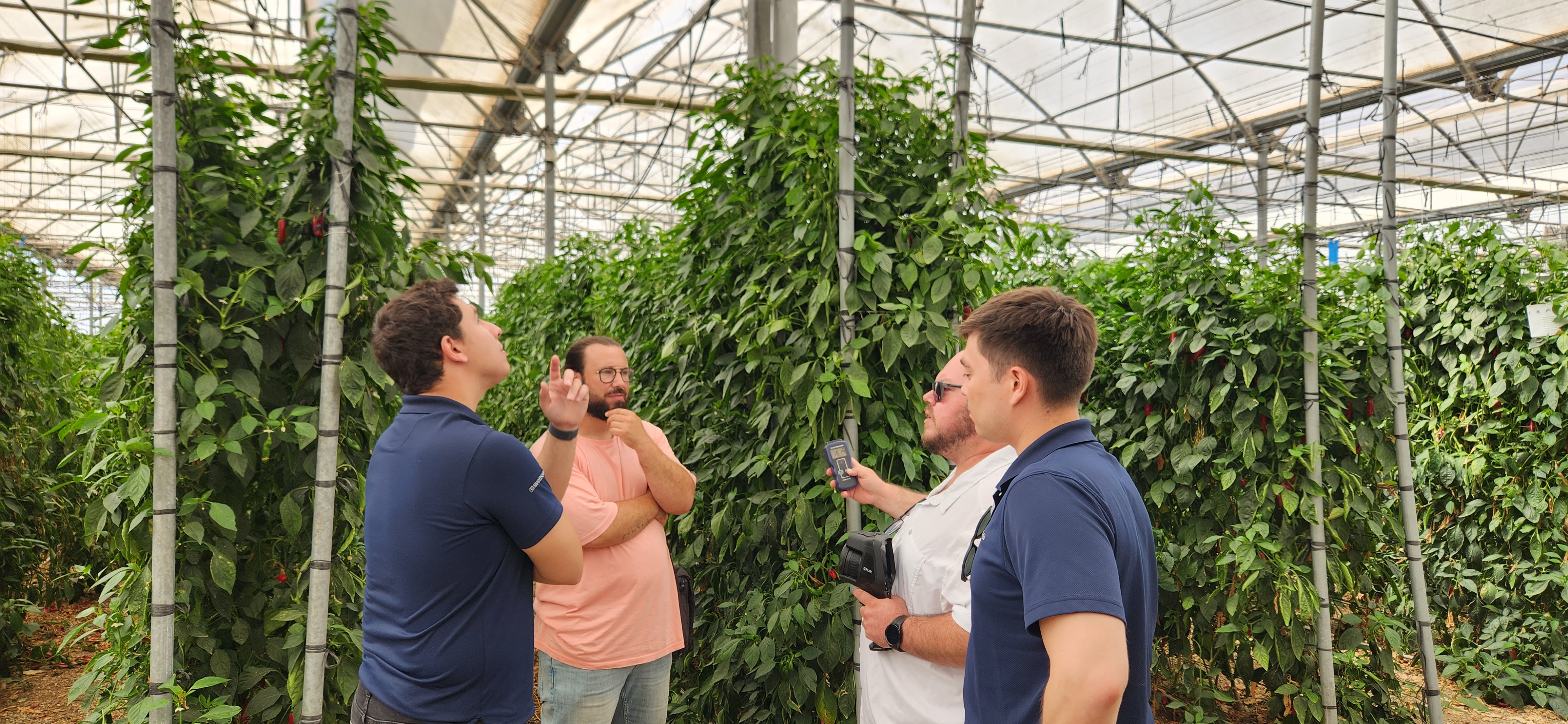 cs - banos - pepper.jpg