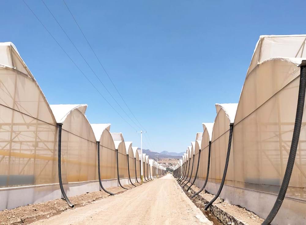 cs - hot climate greenhouse - santiago.jpg