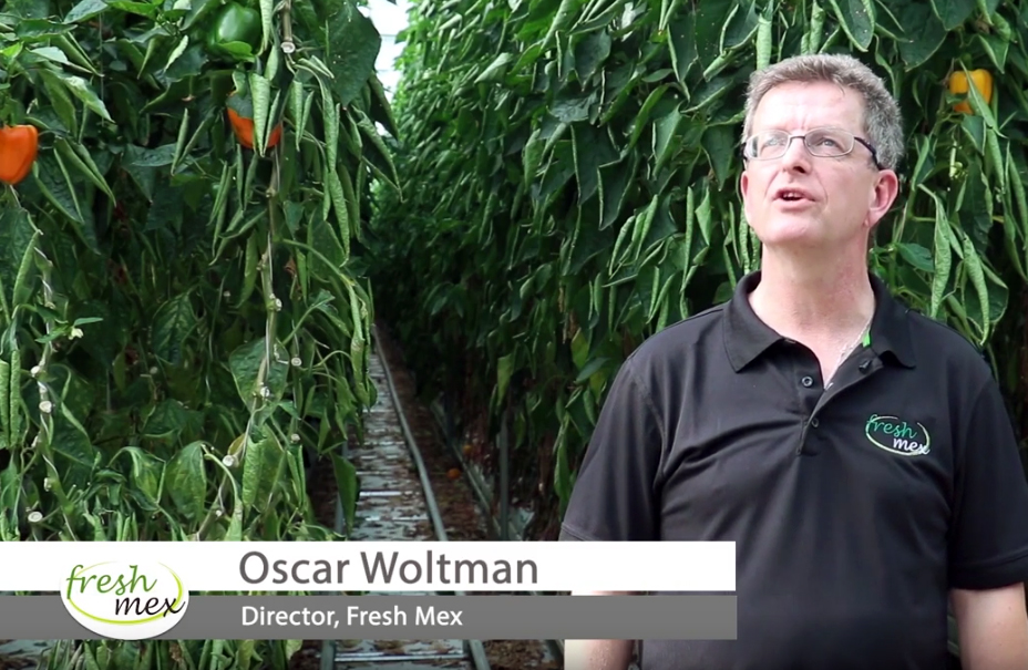 cs - grower - freshmex-oscar.jpg