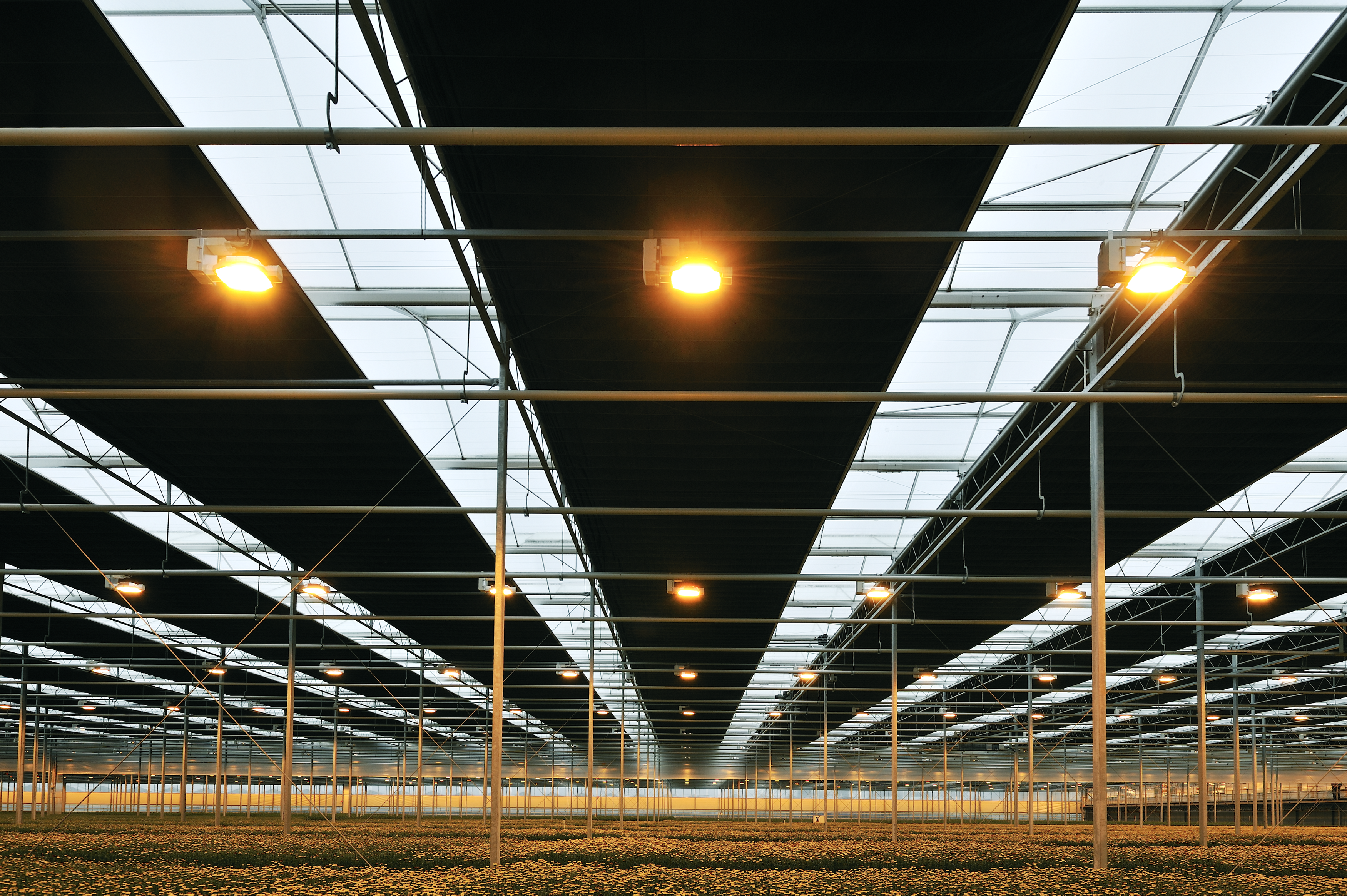 CS - Obscura - Blackout Screens - Freesia