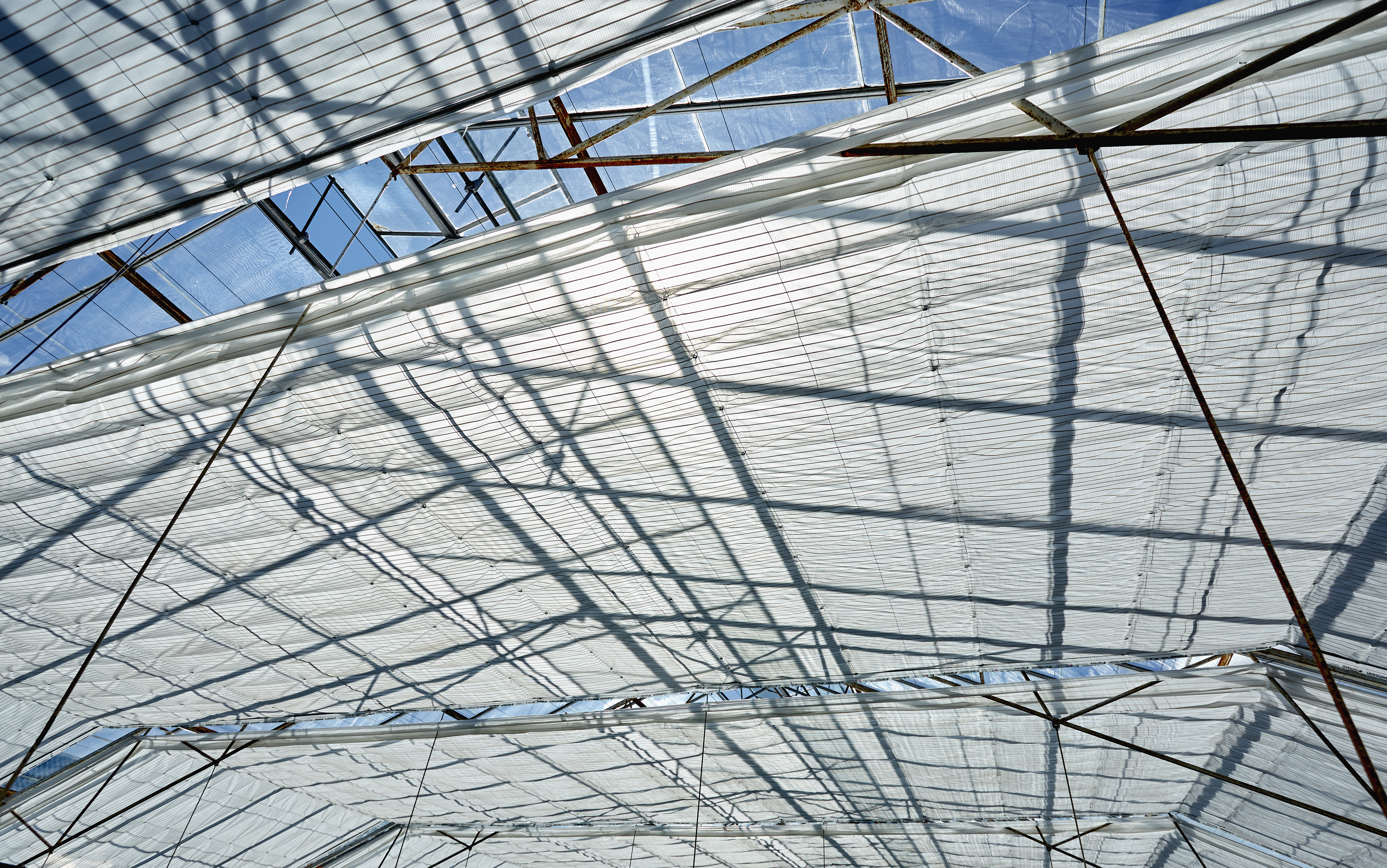 CS - Climate Screens - Greenhouse.jpg